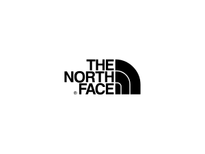 The North Face Logo to show freelance digital marketer client